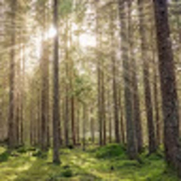 Meet your Posher, Karma - Picture 1 of 1